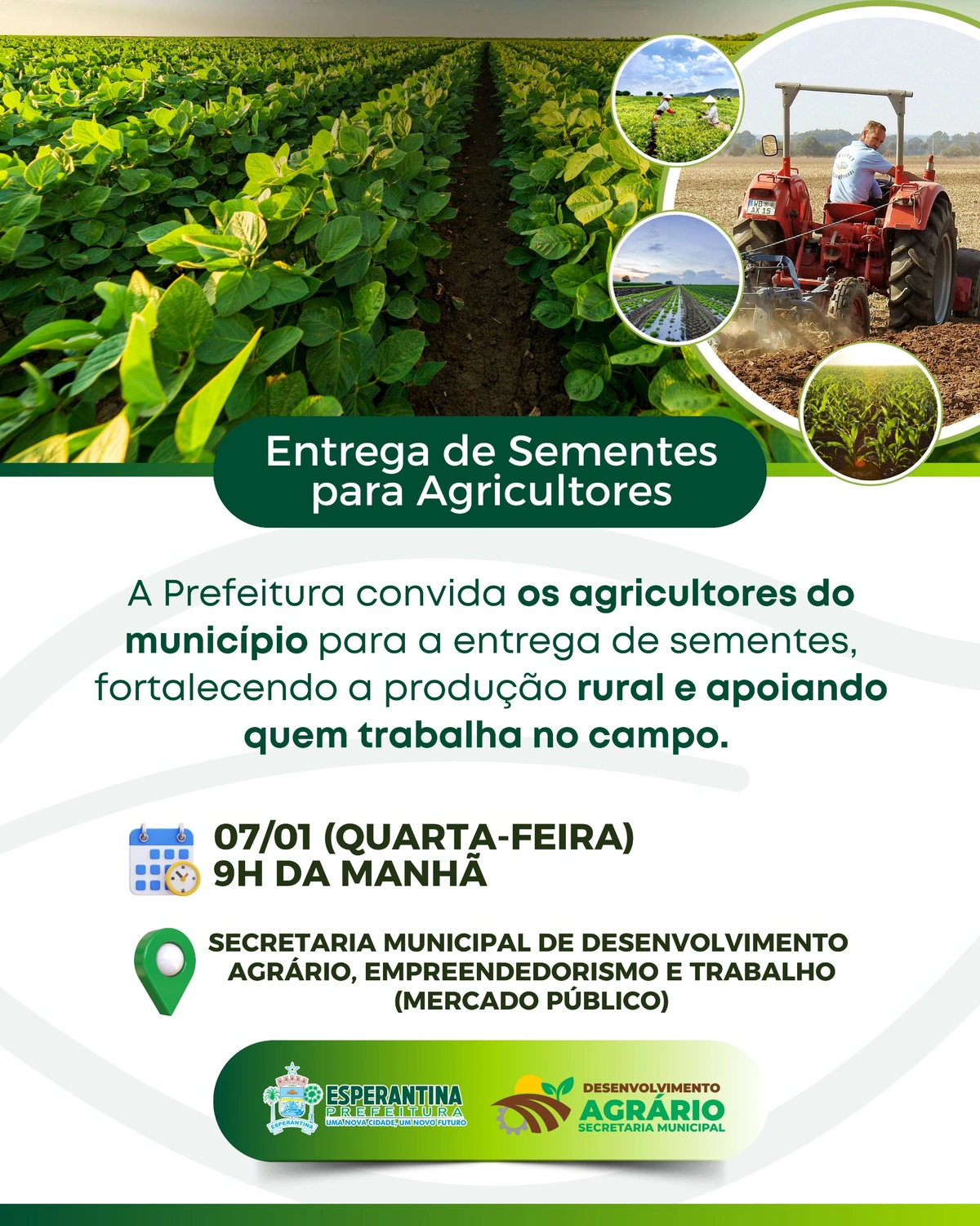 Prefeitura de Esperantina realiza entrega de sementes a agricultores