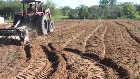 Prefeitura de São Raimundo Nonato inicia aração de terras para agricultores familiares (Foto: Divulgação)
