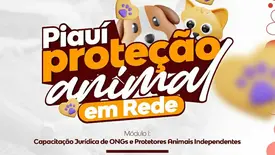 Projeto Piauí Proteção Animal em Rede promove capacitação jurídica em Picos (Foto: Divulgação)