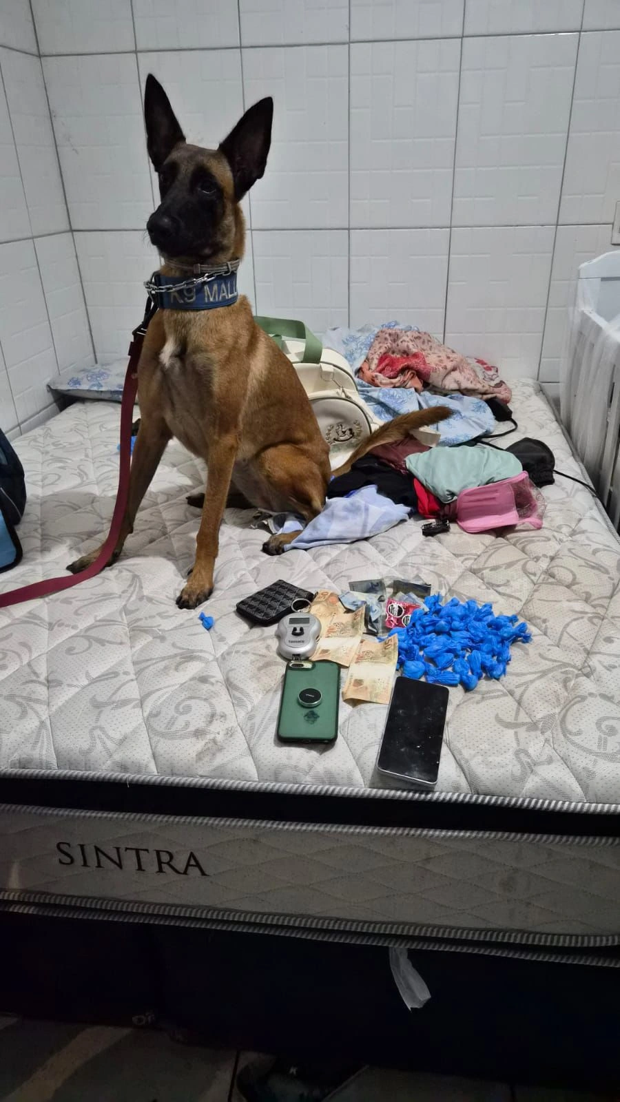 Quatro suspeitos de envolvimento com o comércio de drogas são presos em Teresina