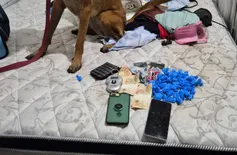 Quatro suspeitos de envolvimento com o comércio de drogas são presos em Teresina