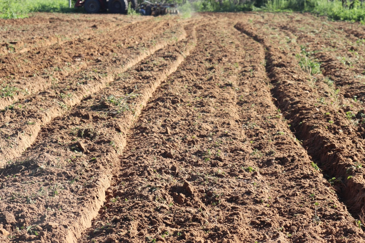 São Raimundo Nonato inicia aração de terras para agricultores familiares