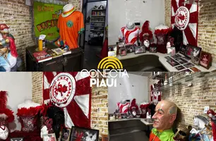 Sem tradicional corso, blocos e escolas de samba animam carnaval em Teresina (Foto: Portal Conecta Píaui)