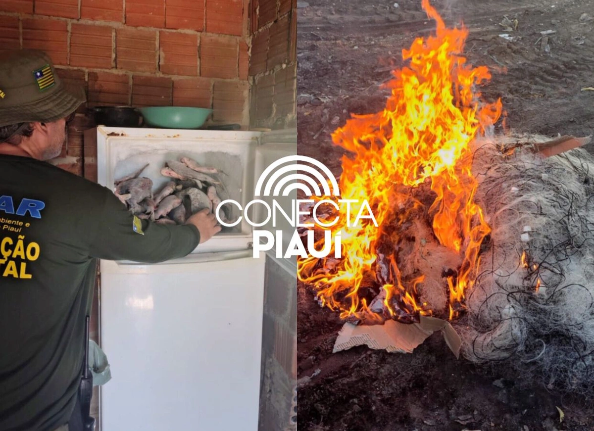 Semarh apreende 66 kg de peixe durante fiscalização na piracema em Curimatá