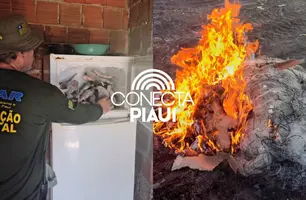 Semarh apreende 66 kg de peixe durante fiscalização na piracema em Curimatá (Foto: Ascom Semarh)