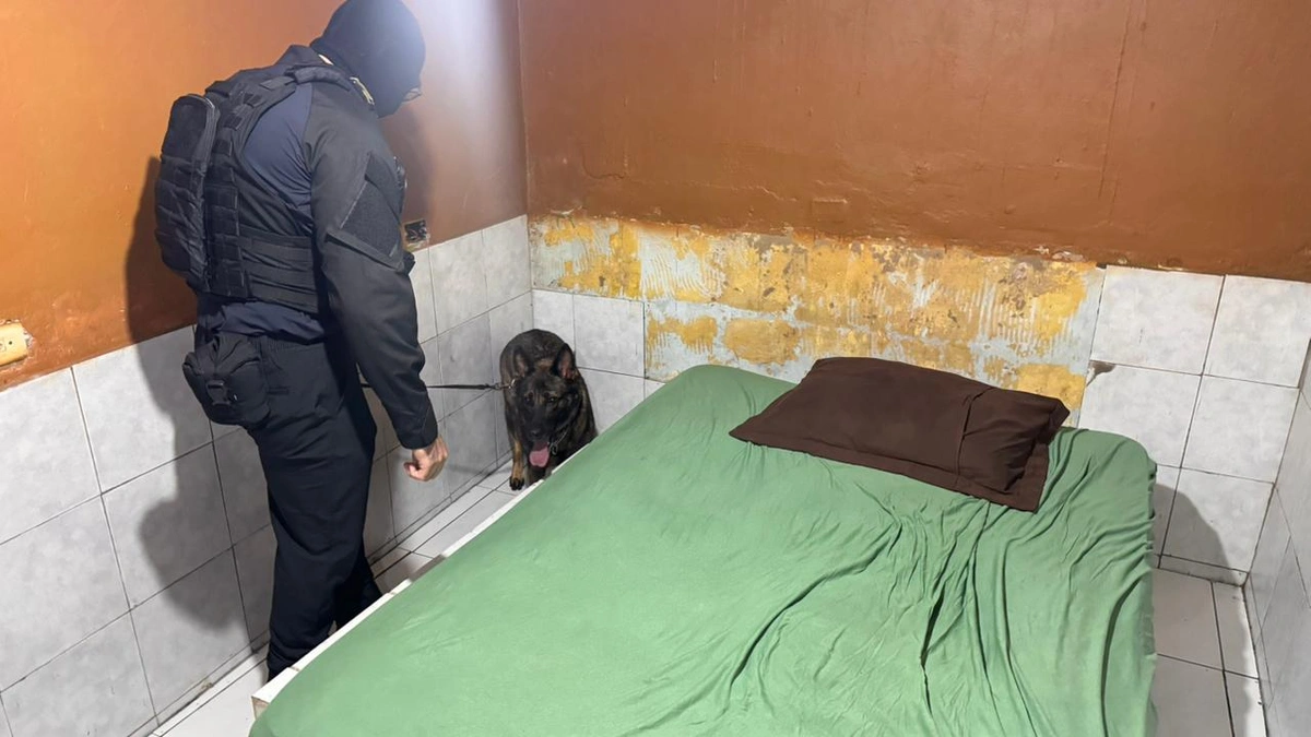 SSP interdita boate durante operação de combate ao tráfico de drogas em Teresina