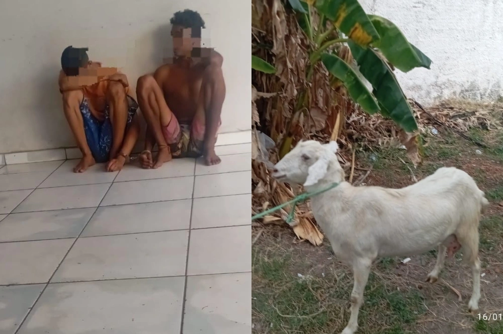 Trio é preso com cabra e cabrito após tentativa de furto em José de Freitas