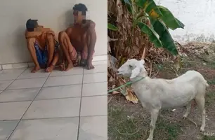 Trio é preso com cabra e cabrito após tentativa de furto em José de Freitas (Foto: Reprodução)