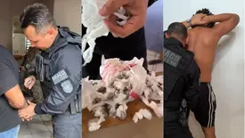 Trio é preso com drogas em operação na zona Sul de Teresina (Foto: Divulgação/DRACO)