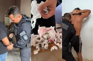 Trio é preso com drogas em operação na zona Sul de Teresina (Foto: Divulgação/DRACO)