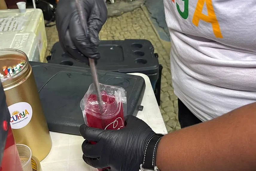 Unidos da Campo Sales vira destaque do carnaval de rua em Teresina