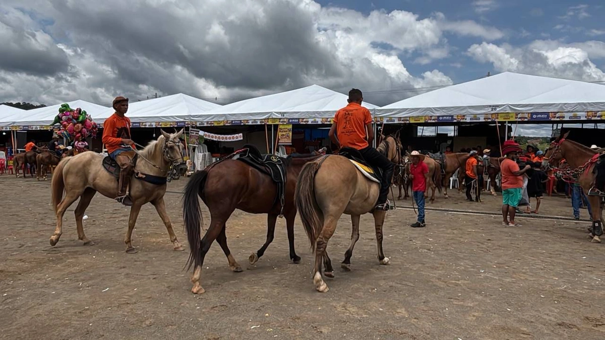 Uruçuí celebra Dia do Vaqueiro nos Festejos de São Sebastião