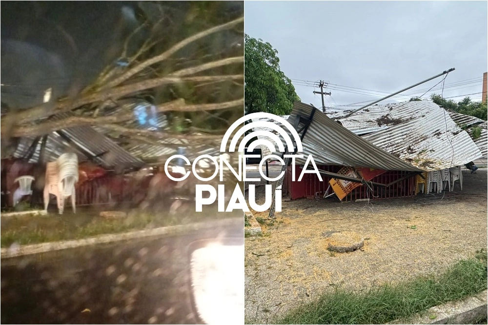 Árvore cai e destrói teto de trailer na zona Leste de Teresina