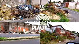 Bairro de Teresina vira um verdadeiro lixão e moradores cobram ação da prefeitura (Foto: Reprodução)
