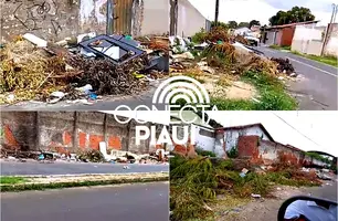 Bairro de Teresina vira um verdadeiro lixão e moradores cobram ação da prefeitura (Foto: Reprodução)