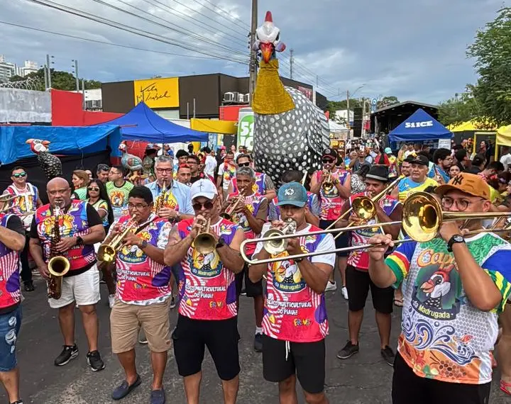 Bloco Capoeira da Madrugada abre Carnaval de Teresina com tradição e alegria
