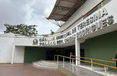 Prefeitura de Teresina veta PL que prevê socorro a animais atropelados