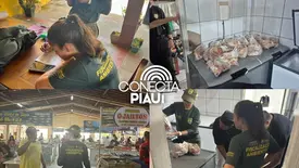 Caranguejo-uçá: fiscalização no Piauí protege a espécie e gera impacto social (Foto: Reprodução)