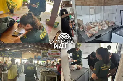 Caranguejo-uçá: fiscalização no Piauí protege a espécie e gera impacto social