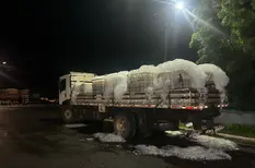 Carga de quase 1,5 toneladas de tilápia é apreendida pela PRF em Piripiri