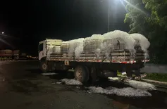 Carga de quase 1,5 tonelada de tilápias é apreendida pela PRF em Piripiri