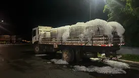 Carga de quase 1,5 toneladas de tilápia é apreendida pela PRF em Piripiri (Foto: Divulgação/PRF)