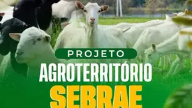 Colônia do Piauí recebe consultoria para criadores de ovinos e caprinos (Foto: Reprodução)