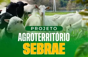 Colônia do Piauí recebe consultoria para criadores de ovinos e caprinos (Foto: Reprodução)