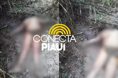 Corpo de mulher é encontrado sem roupas em área de mata na zona rural de Altos