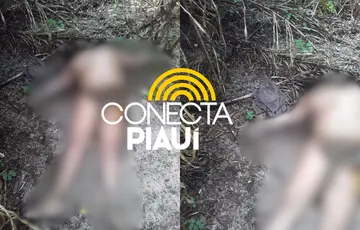 Corpo de mulher é encontrado sem roupas em área de mata na zona rural de Altos