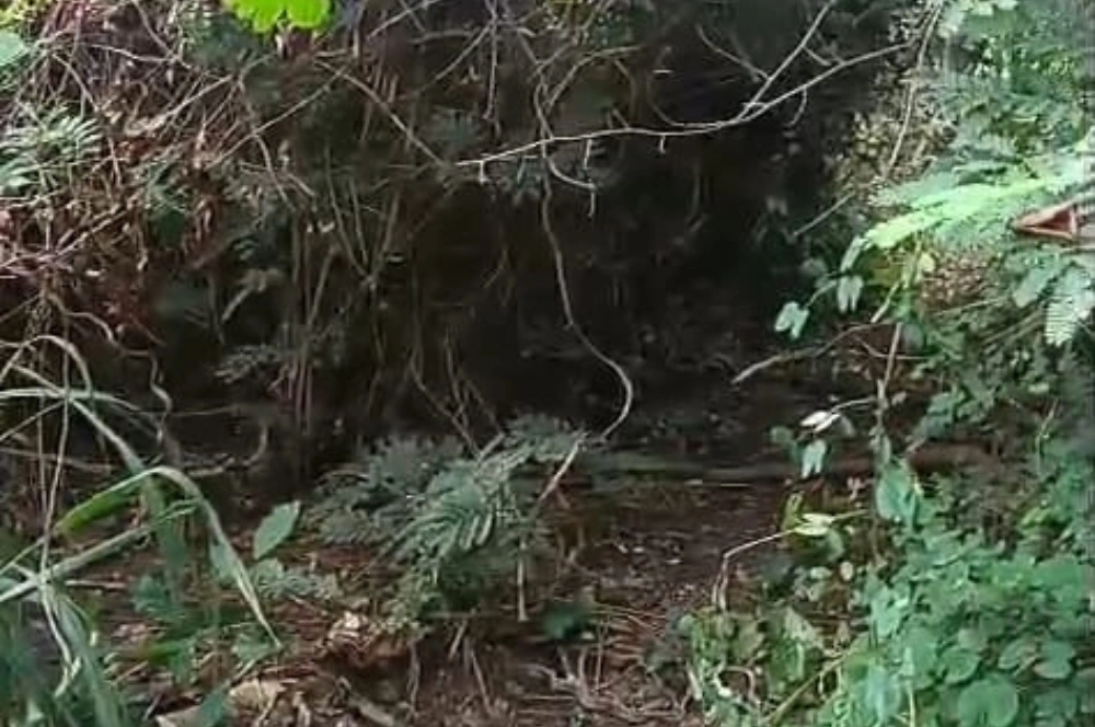 Corpo é encontrado com mãos amarradas em cova rasa na zona Sudeste de Teresina