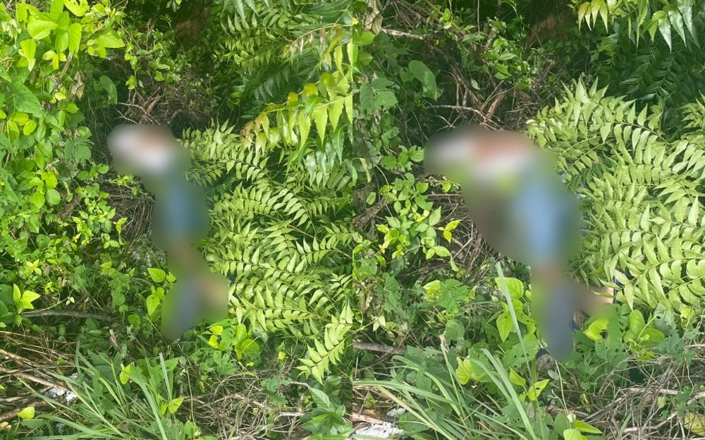 Corpo é encontrado em povoado na zona rural Norte de Teresina