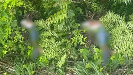 Corpo é encontrado em povoado na zona rural Norte de Teresina (Foto: Reprodução)