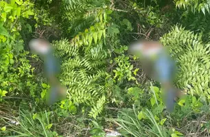 Corpo é encontrado em povoado na zona rural Norte de Teresina (Foto: Reprodução)