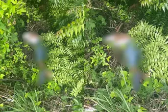 Corpo é encontrado em povoado na zona rural Norte de Teresina