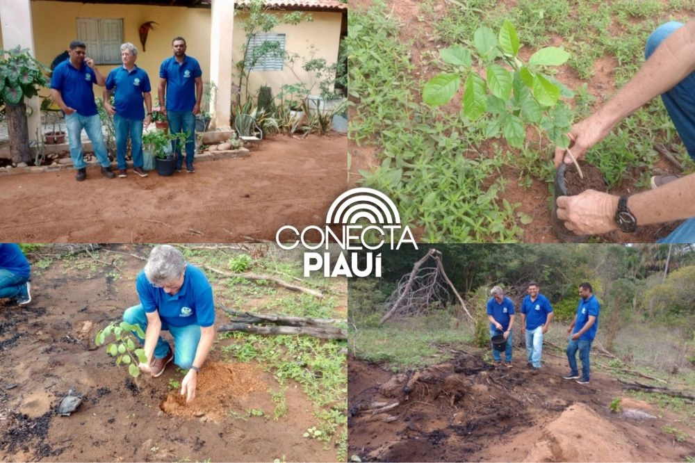 Eliseu Martins promove ações ambientais em nascentes protegidas