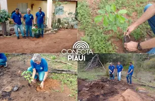Eliseu Martins promove ações ambientais em nascentes protegidas (Foto: Reprodução)