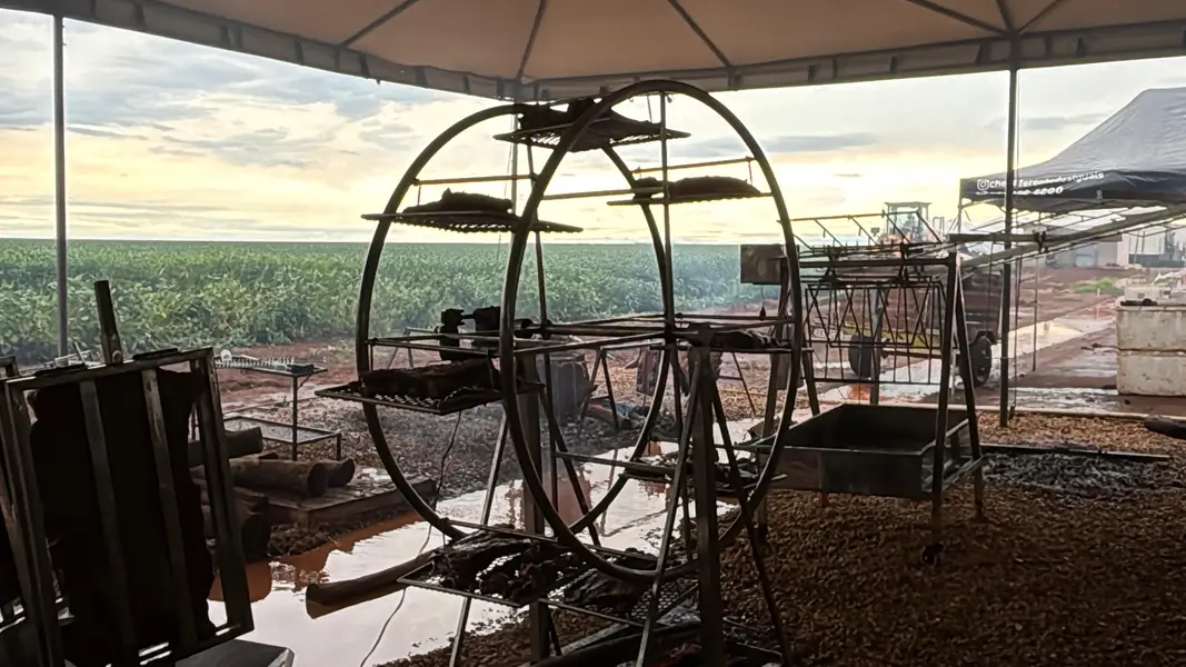 Fonteles participa do 8º Dia de Campo da Insolo em Baixa Grande do Ribeiro