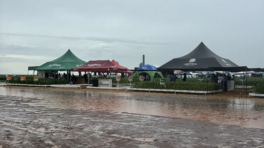 Fonteles participa do 8º Dia de Campo da Insolo em Baixa Grande do Ribeiro