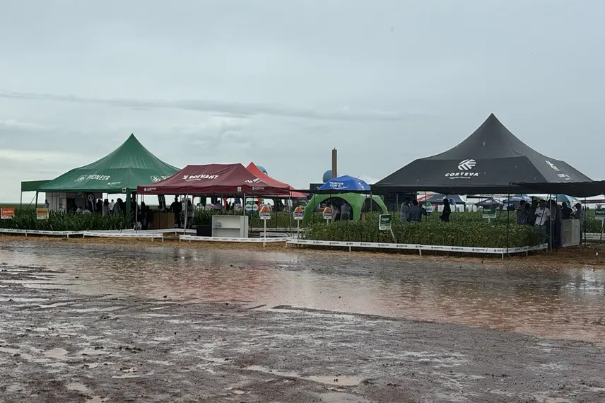 Fonteles participa do 8º Dia de Campo da Insolo em Baixa Grande do Ribeiro