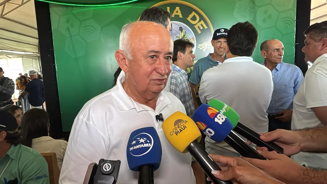 Fonteles participa do 8º Dia de Campo da Insolo em Baixa Grande do Ribeiro