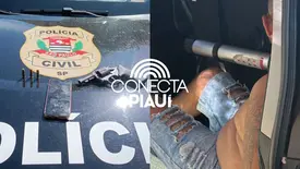 Foragido da Justiça do Piauí é preso em São Paulo (Foto: Reprodução)