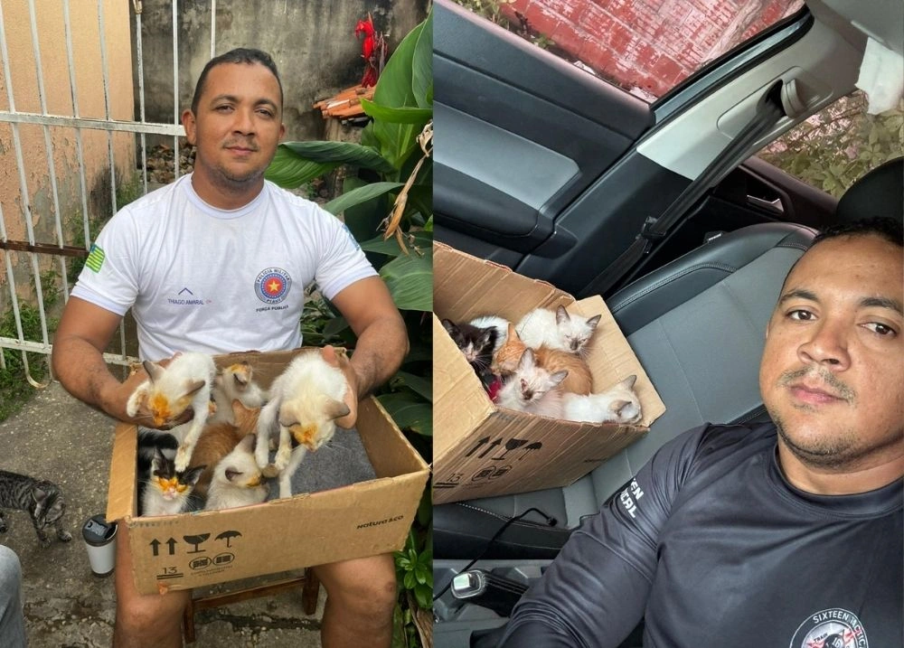 Fotógrafo denuncia abandono de filhotes de gato em ponto de lixo de Teresina