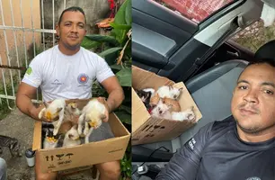 Fotógrafo denuncia abandono de filhotes de gato em ponto de lixo de Teresina (Foto: Reprodução)