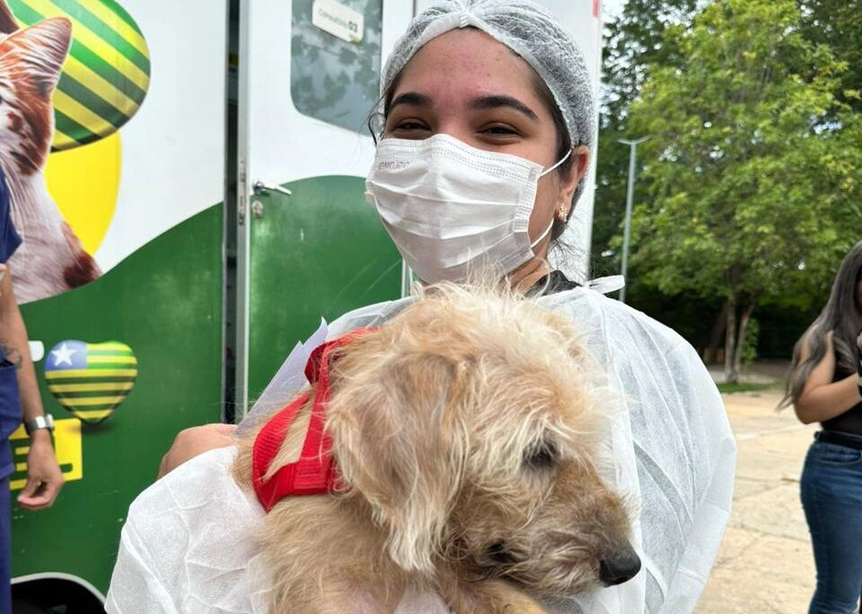 Governo do Piauí autoriza parceria para abrigar animais vítimas de maus-tratos