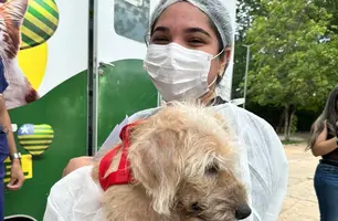 Governo do Piauí autoriza parceria para abrigar animais vítimas de maus-tratos (Foto: Reprodução)