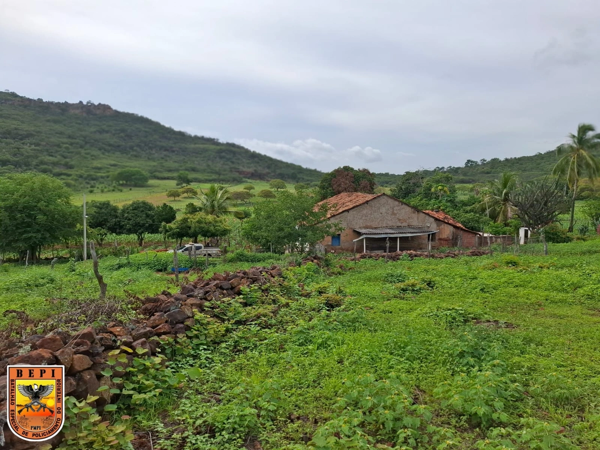 Idoso é preso com arsenal após denúncia de tiros na zona rural de Paquetá do Piauí