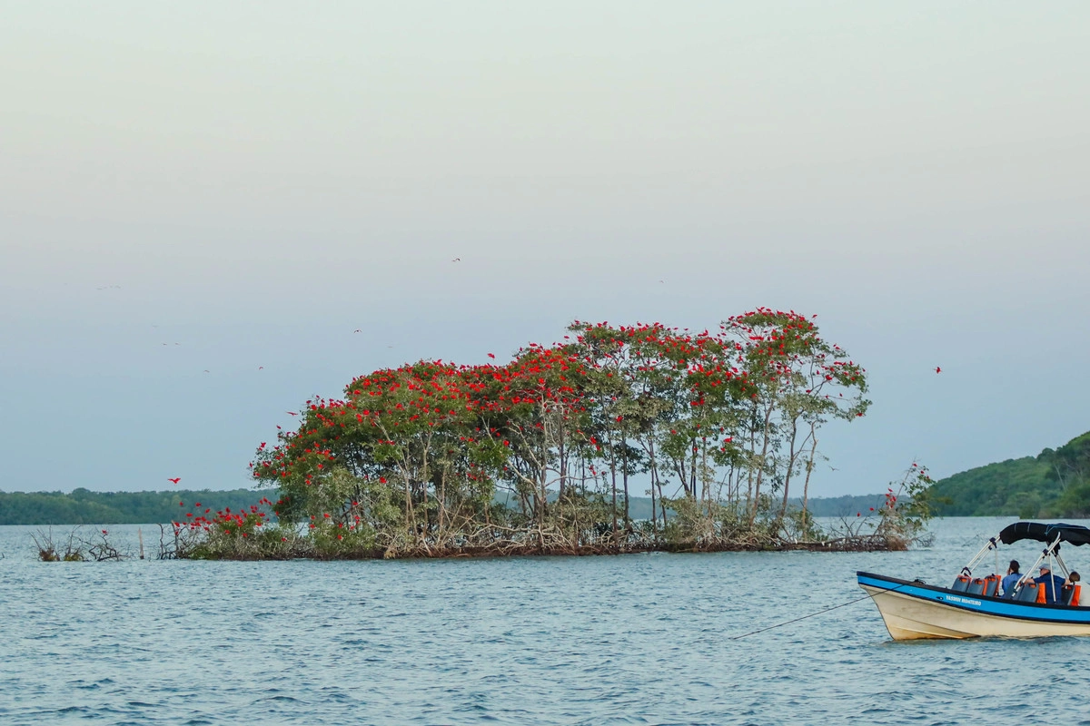 Indústria do turismo aumenta em 83% geração de empregos no Piauí