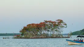 Indústria do turismo aumenta em 83% geração de empregos no Piauí (Foto: Thiago Amaral)
