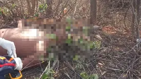 Jovem é espancado em cidade do Piauí e morre após dar entrada no hospital (Foto: Reprodução)